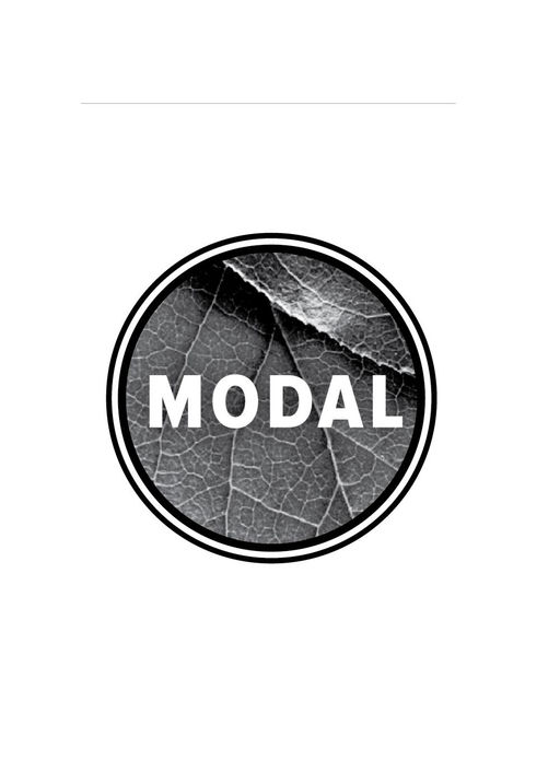 Трусы мужские плавки МОДАЛ - Clever wear фото 2