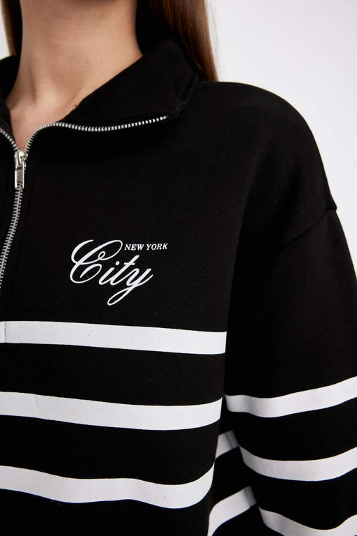Толстый повседневный свитшот в полоску с половиной молнии обычного кроя - Defacto фото 6