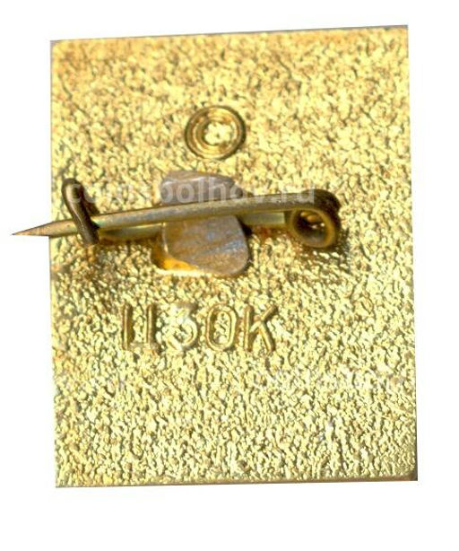 Значок А.С. Грин