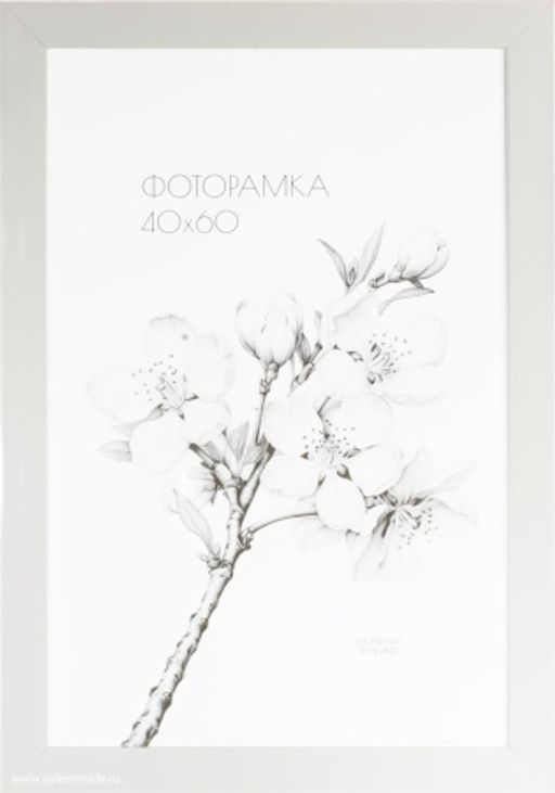 Фоторамка 40х60 /2900A-012AL/,ф