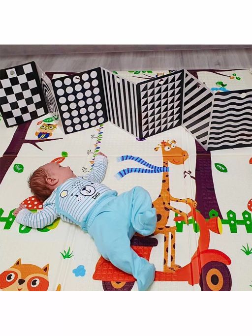 Развиваем зрение с рождения - Робинс фото 5