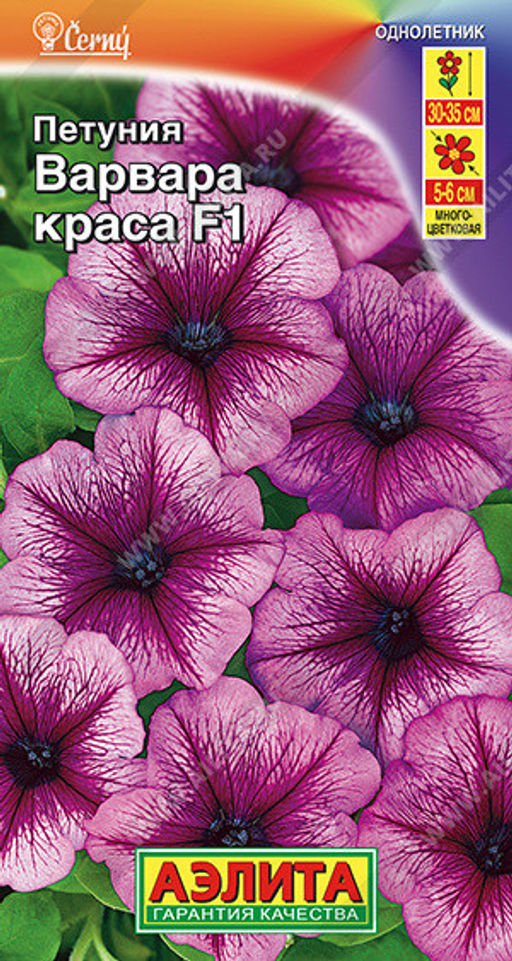 1678A Петуния Варвара Краса F1 многоцветковая 7шт