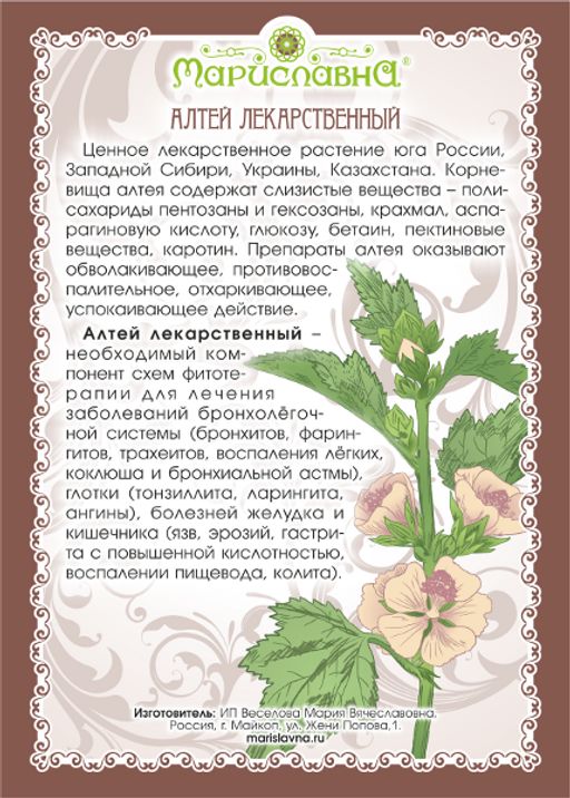2 шт. Алтей (корень)