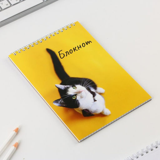 Блокнот А5 на гребне 40 л. Кот - Artfox фото 2