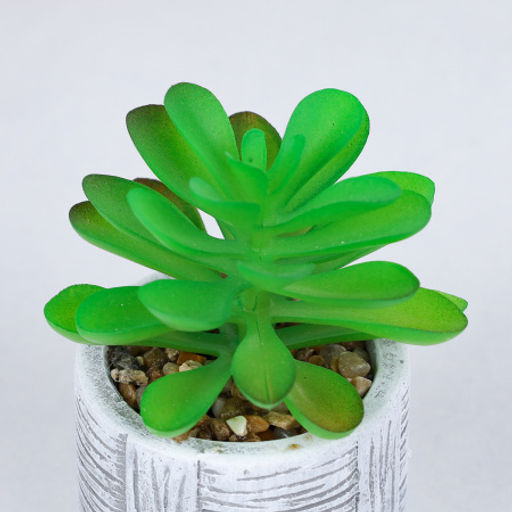 Цветочная композиция Кактус / WER-22 /уп 12/192/ микс - Галеонтрейд фото 13