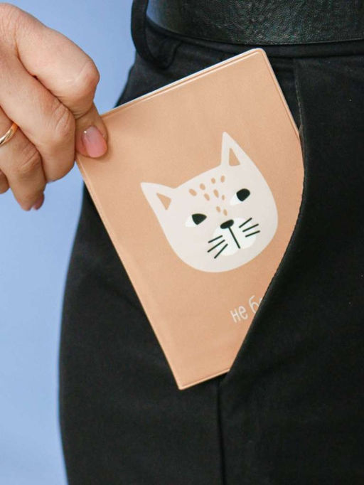 ОБЛОЖКА ДЛЯ ПАСПОРТА Не беси, плотность 600 мкм