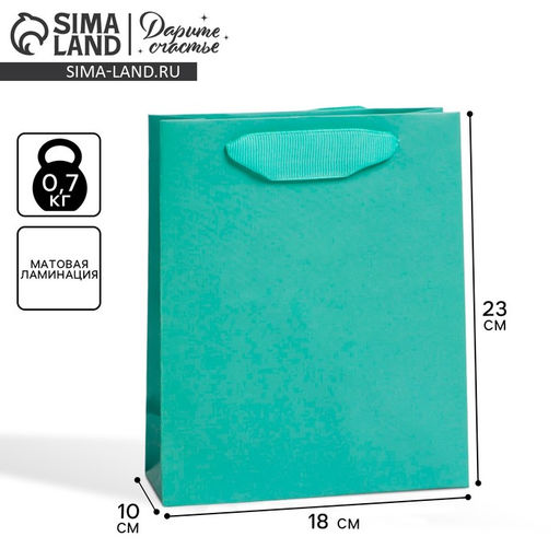 Цена за 2 шт. Пакет подарочный ламинированный, упаковка, «Тиффани», MS 18×23×10 см