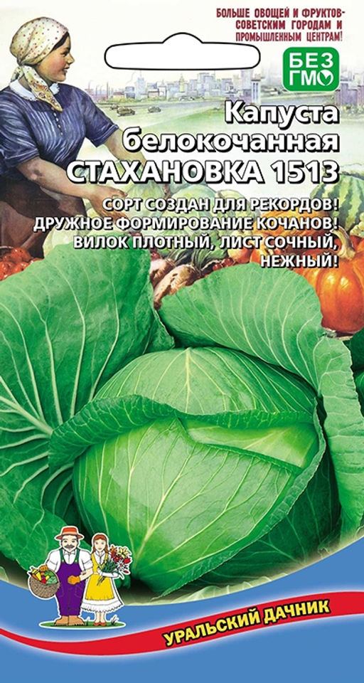 Капуста СТАХАНОВКА 1513 Сорт создан для рекордов! Дружное формирование кочанов! Вилок плотный, лист сочный, нежный!
