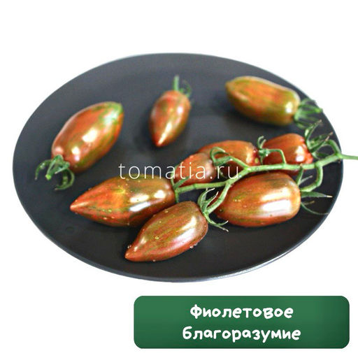 Фиолетовое благоразумие