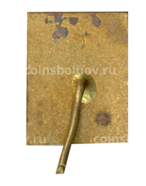 Значок Школьник