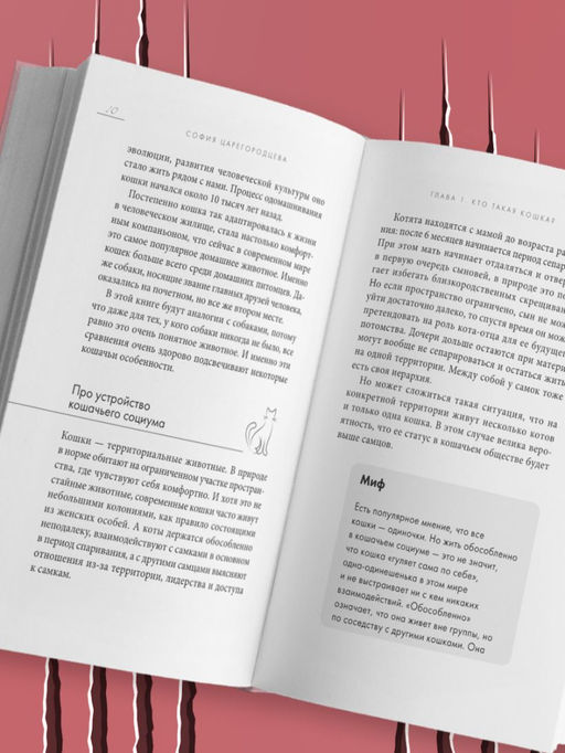 Кошачий закон и порядок. Как найти общий язык с кошкой и не стать жертвой ее капризов