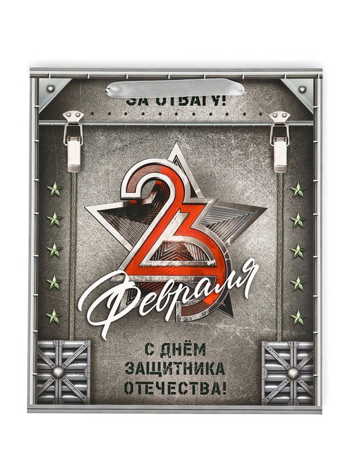 Цена за 2 шт. Пакет подарочный ламинированный 23 февраля, M 25.5?30?9 см