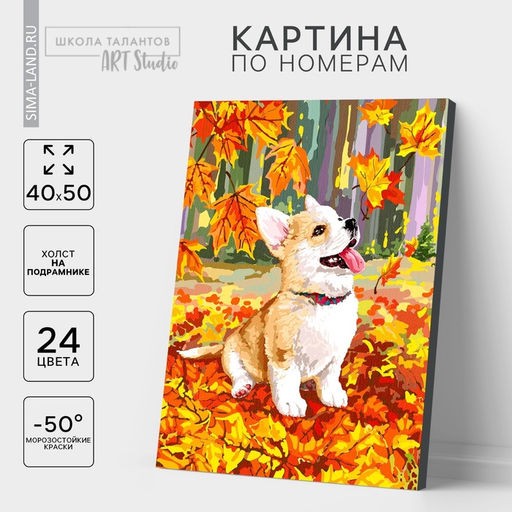 Картина по номерам на холсте с подрамником "Корги в осенней листве" 40*50 см