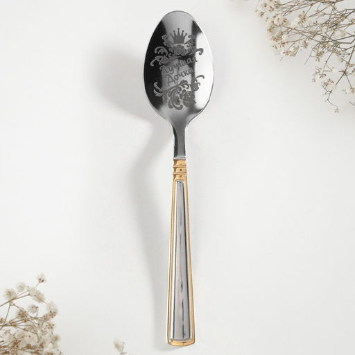 Ложка чайная с гравировкой Лучшая дочка, в подарочной коробке, 3?14 см