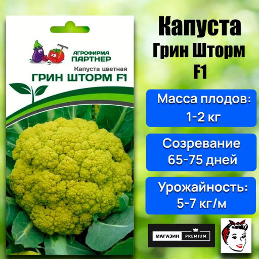 Капуста цветная Грин Шторм (зелено-желтый) - Партнёр фото 5