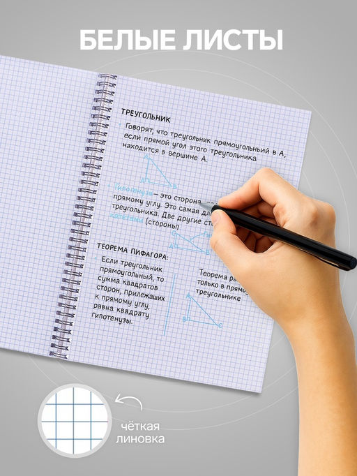 Тетрадь A4, 80 листов в клетку на гребне «Аниме. Чувства»