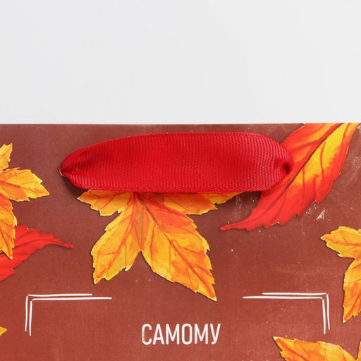 Цена за 2 шт. Пакет подарочный ламинированный, упаковка, «Классному учителю», MS 18 х 23 х 10 см