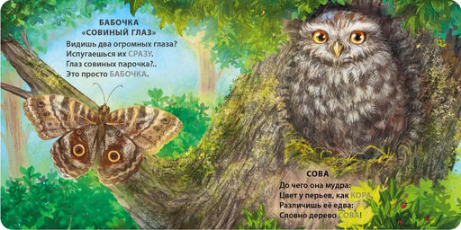 Книжки - картонки. Загадки - рифмы. Животные - невидимки - Робинс фото 3