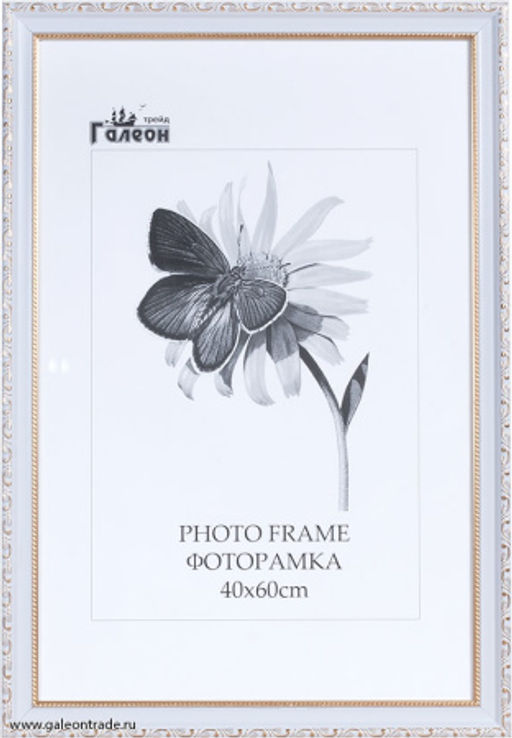 Цена за 1 шт. Фоторамка 40х60 / 10036-3 / - Галеонтрейд фото 2