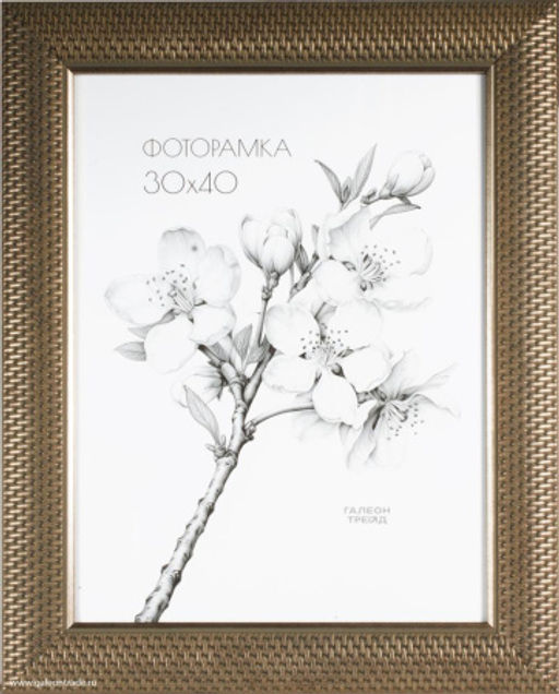 Фоторамка 30х40 / DS5103-474P /