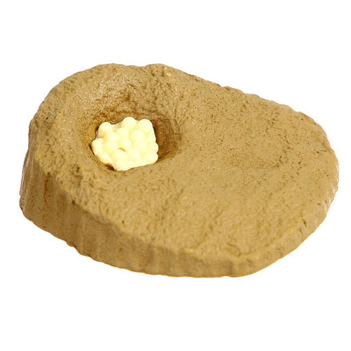 Обучающий набор Этапы развития морской черепашки 4 фигурки - Simaland фото 2