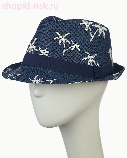 23804 Шляпа мужская (58)