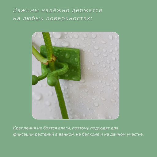 Цена за 2 шт. Крепления для вьющихся растений, самоклеящиеся, Листок, набор 10 шт., Greengo фото 7