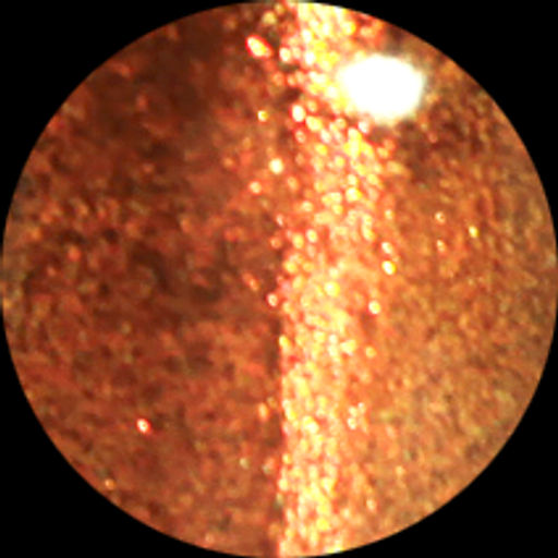 Alvin Dor Лак PRISMATIC т.2730 15мл