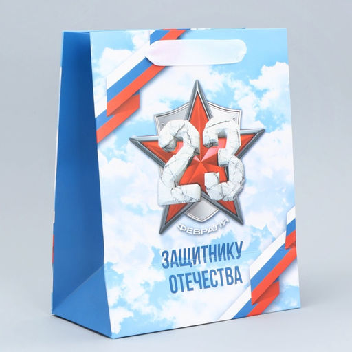 Цена за 2 шт. Пакет подарочный ламинированный, упаковка, «С 23 февраля», MS 18×23×10 см