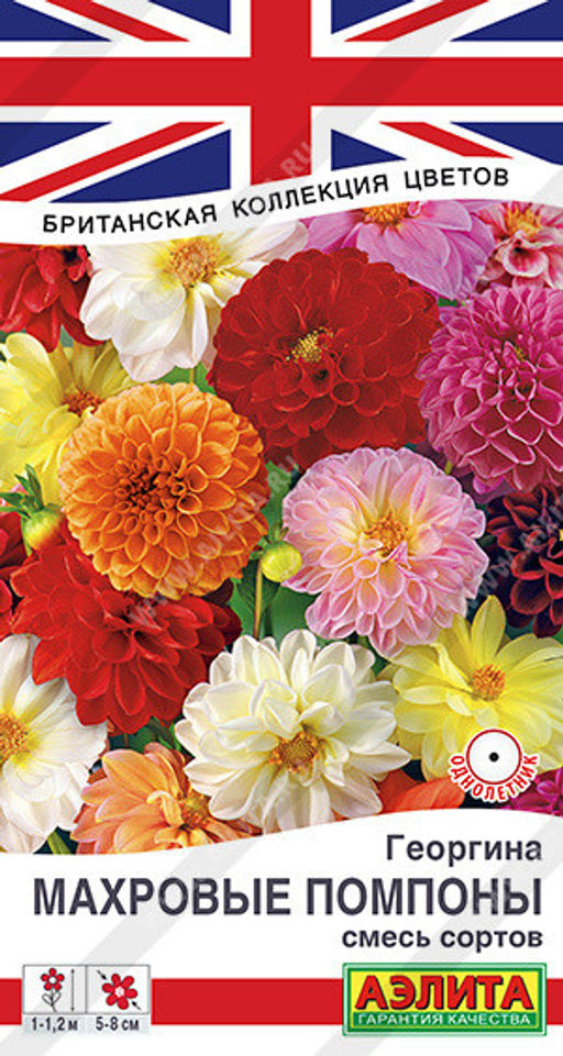 1390A Георгина Махровые помпоны, смесь сортов 0,2гр