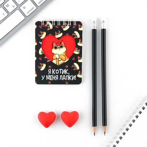 Подарочный набор канцелярский, ластики 2 шт., блокнот, карандаши «Котик»