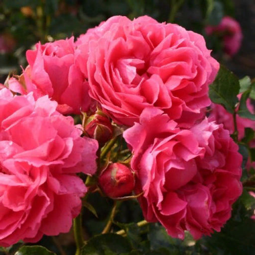 R328 МОИН МОИН