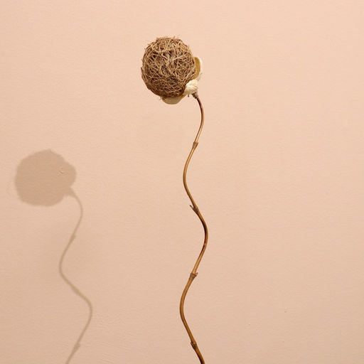 Сухоцвет,150 см, натуральный - Simaland фото 8