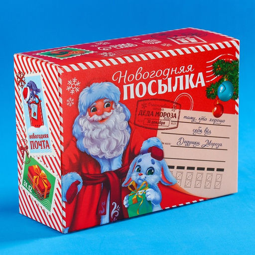 Сладкий детский подарок Новогодняя посылка: конфеты 300 г