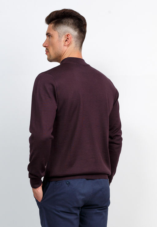 Джемпер мужской GREG G122-AN241944А (шоколад)  фото 3