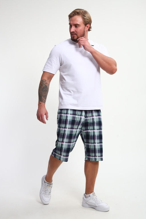 Шорты мужские ШМ-03