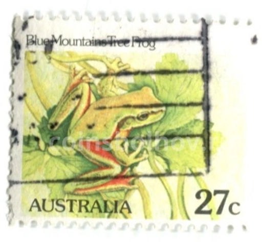 Марка Древесная лягушка Голубых гор 1982 год Австралия