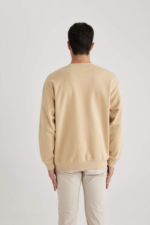 Базовый свитшот Oversize с круглым вырезом - Defacto фото 4
