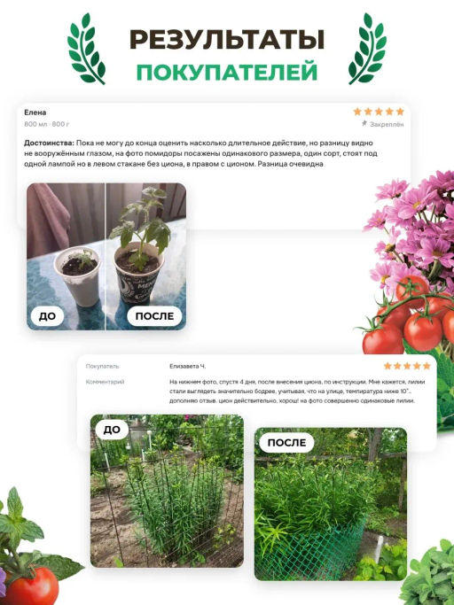 ЦИОН Протект Классик (питание и профилактика грибковых заболеваний), 400 гр