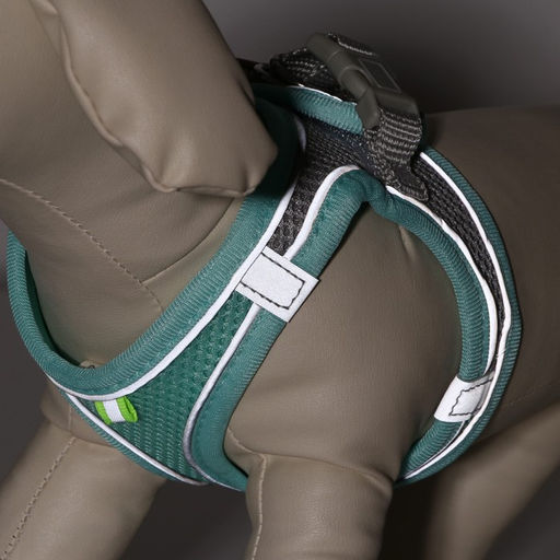 Комплект с мягкой шлейкой, размер XXS, поводок 150 х 1,5 см, ОГ 28-30 см, ОШ 24-26 см, бирюз - Пижон фото 6