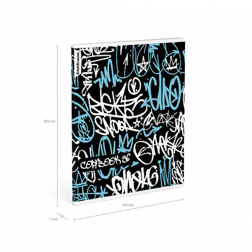 Цена за 5 шт. Тетрадь общая ученическая ErichKrause Graffity, 96 листов, клетка,матовая ламинация+выборочный лак_MIX-PACK фото 10