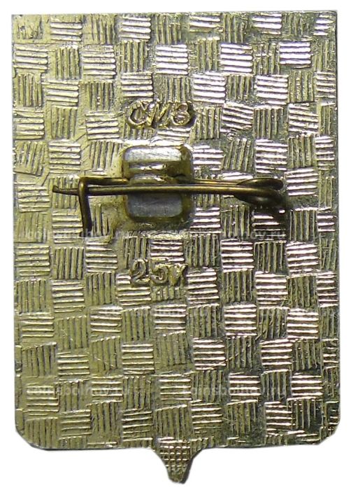 Значок Дорогобуж