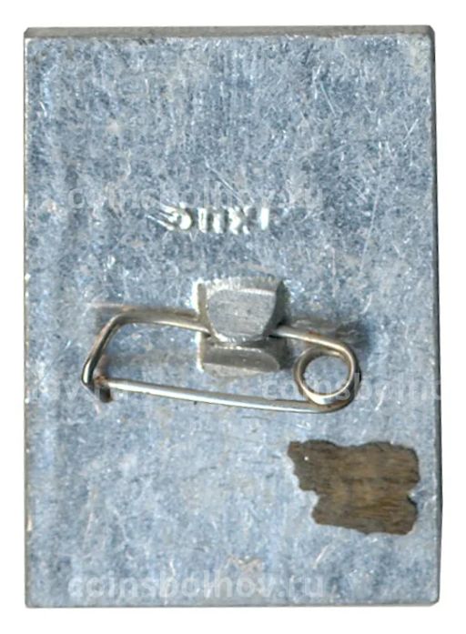 Значок Общество охраны памятников истории и культуры РСФСР