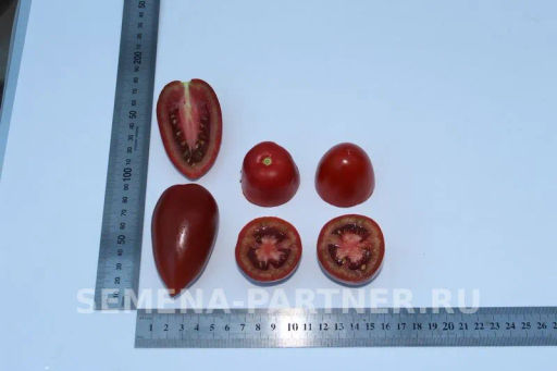 Томат Бурый Саладет F1 - Партнер фото 6