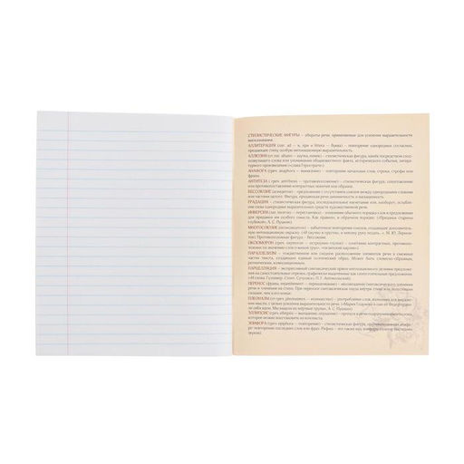 Тетрадь предметная Доска, 48 листов в линейку Литература, обложка мелованный картон, блок офсет - Calligrata фото 4