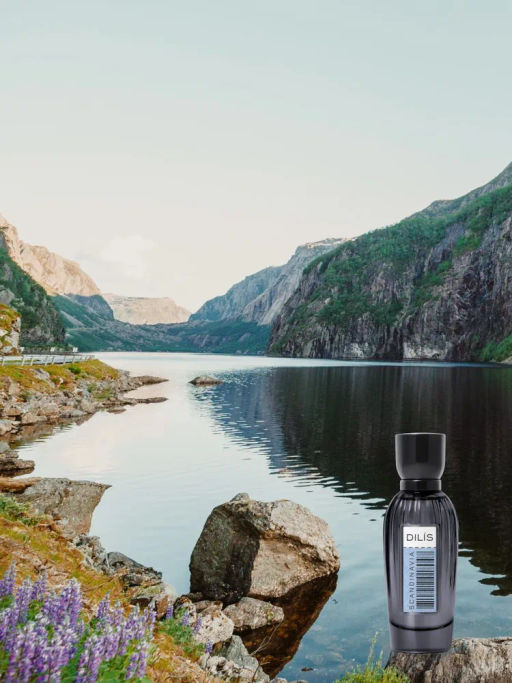 Dilis Парфюмерная вода для женщин Essence of the World Scandinavia 60 мл  фото 5
