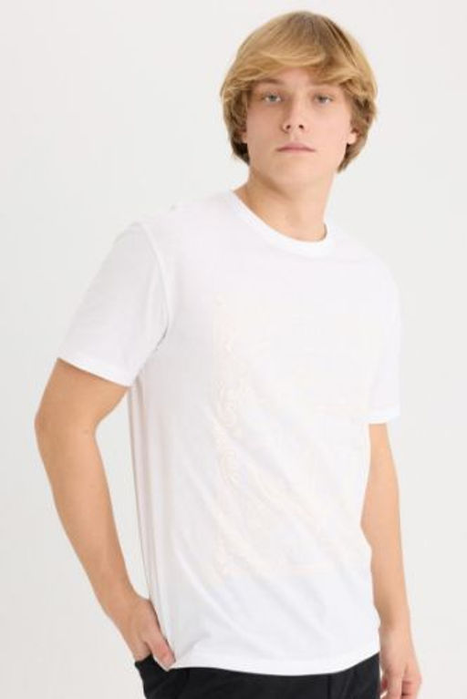 Regular Fit Bisiklet Yaka Bask?l? K?sa Kollu Tisort