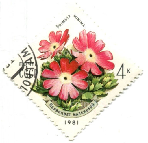 Марка Первоцвет маленький 1981 год