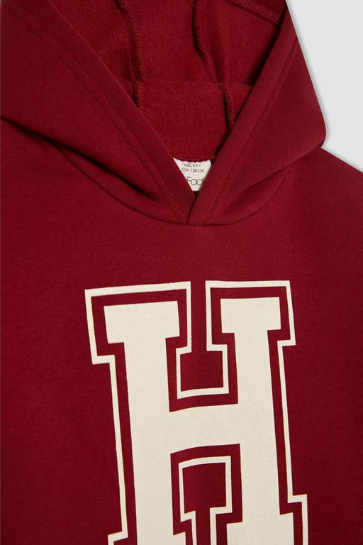 Толстая толстовка с капюшоном и принтом для мальчиков - Defacto фото 7