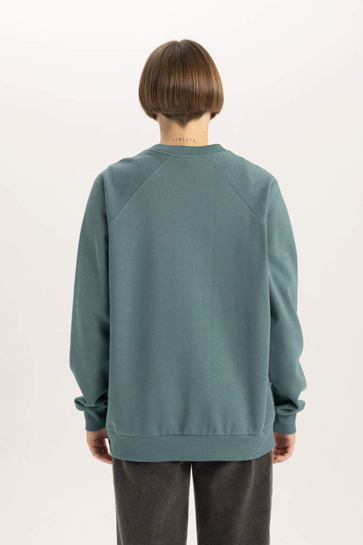 Толстый свитшот оверсайз с круглым вырезом - Defacto фото 6